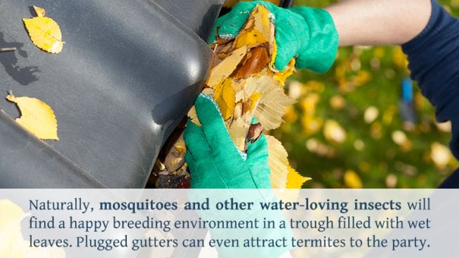 WHAT IGNORING YOUR GUTTERS IN THE FALL CAN DO TO YOUR HOME!