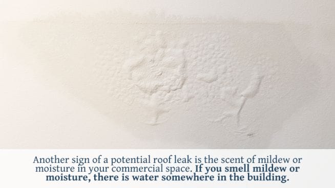 WARNING SIGNS OF A DAMAGED OR LEAKING COMMERCIAL ROOF